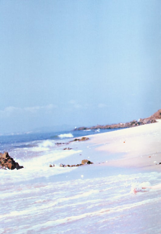 图片[53]-#Chizuru Ikewaki 池脇千鶴 – Straight 笔直 - 全本免费在线观看-阅图吧