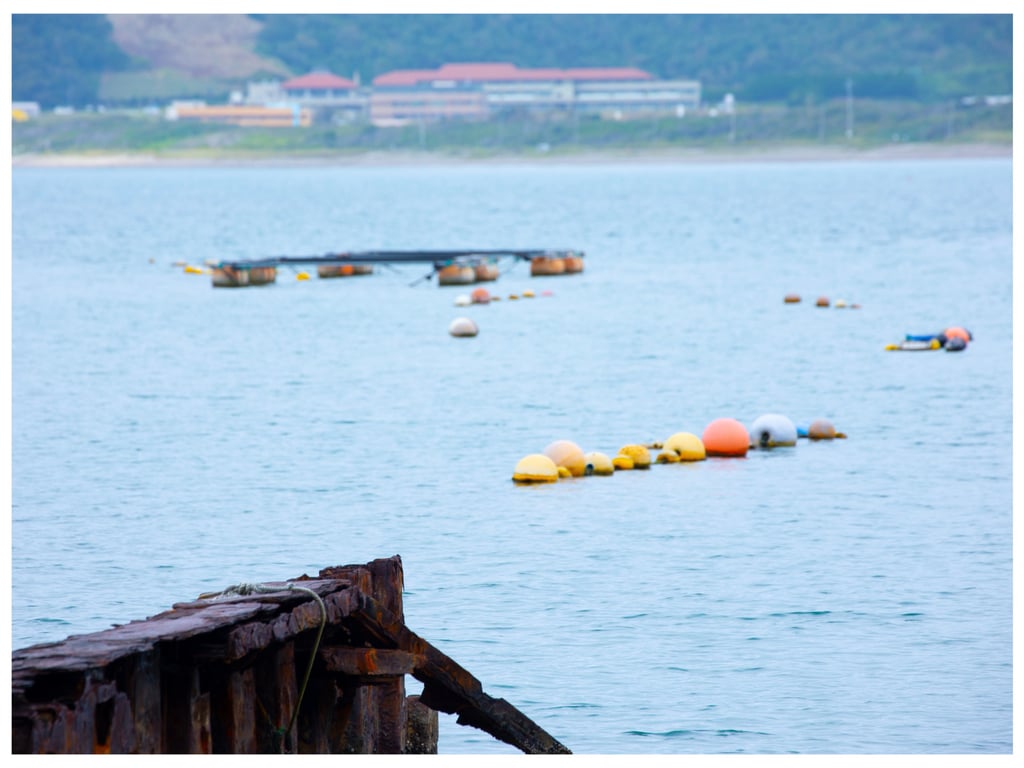 图片[9]-#Mao Watanabe 渡边真绪 – Best Premium Exclusive Cut Vol. 01 - 全本免费在线观看-阅图吧