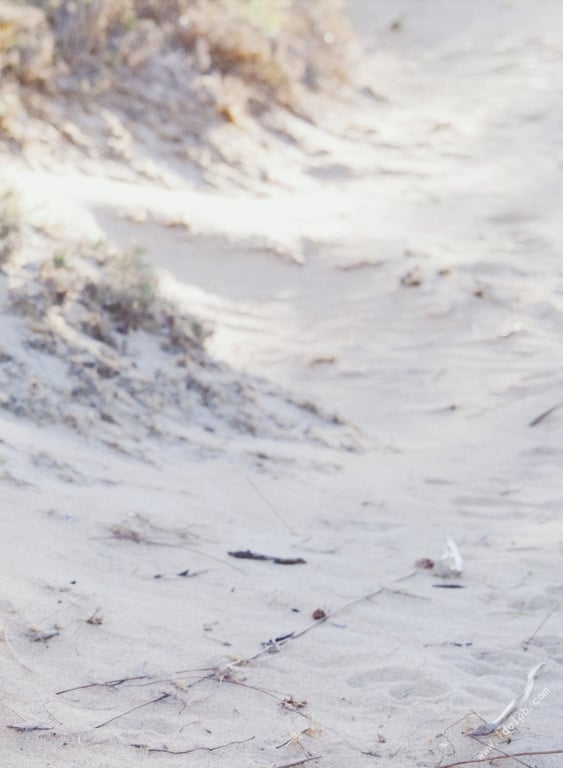 图片[44]-#武井咲 写真集 PLUMERIA - 全本免费在线观看-阅图吧