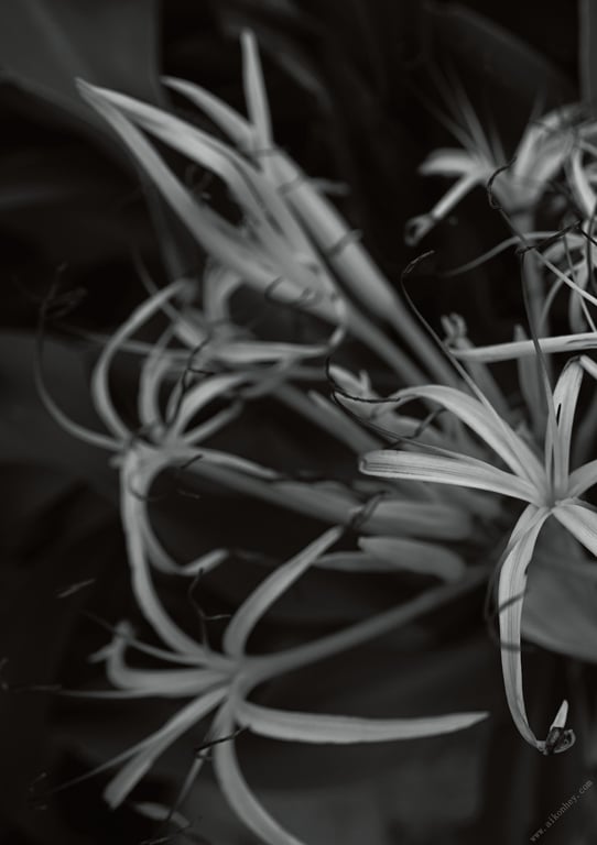 图片[65]-#【特典画像43张附】步利惠子 1st写真集数字完全版 SPHERE - 全本免费在线观看-阅图吧