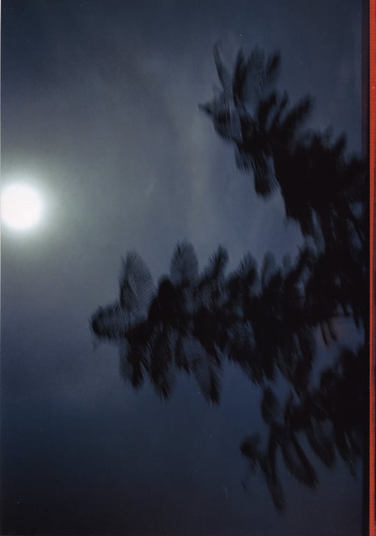 图片[40]-#釈由美子 – CHAOS - 全本免费在线观看-阅图吧