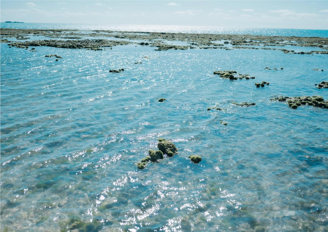 图片[3]-九十九ぱて 1st e-book 来这边？(wunder publishing house) - 在线免费观看-阅图吧