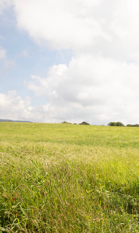 图片[52]-【数字限定】Angela芽衣写真集「全速前进」 (週プレ PHOTO BOOK) - 在线免费观看-阅图吧