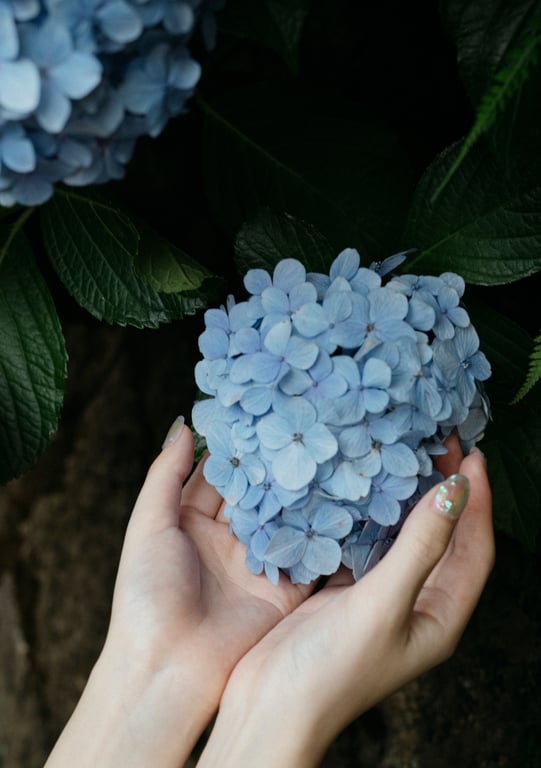 图片[83]-七沢みあ デジタル写真集 とられち(No Watermark) - 阅图吧-阅图吧