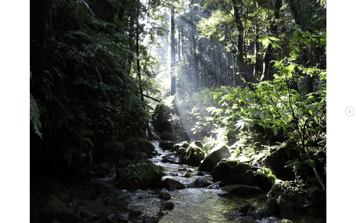 图片[20]-#週刊現代デジタル写真集 永岡怜子「Period オール未公開 vol.1」 - 全本免费在线观看-阅图吧