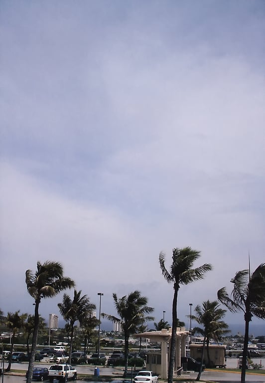 图片[8]-#岩本惠 – Daisy Blue - 全本免费在线观看-阅图吧