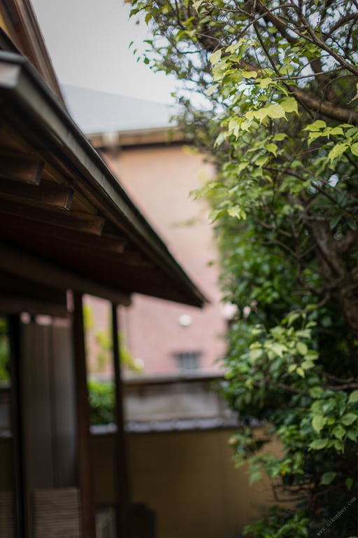 图片[100]-#光りが射す方へ 妃ひかり【ヌード写真集】 - 全本免费在线观看-阅图吧