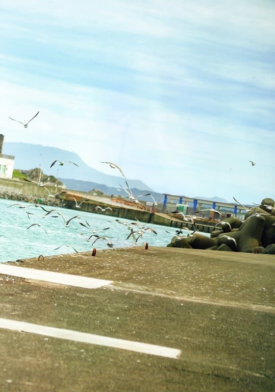 图片[181]-#Saito Kyoko 1st Photobook - 全本免费在线观看-阅图吧