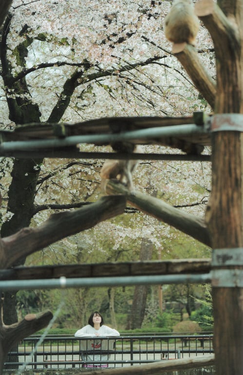 图片[9]-2023.09.30 AKB48 大西桃香 2nd写真集『桃的观赏方式』 - 在线免费观看-阅图吧