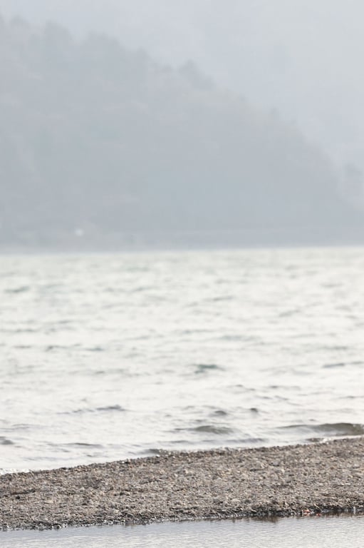 图片[90]-#新藤爱美 Ｑｕｅｅｎｓ Ａｌｌ未公开Ｓｐｅｃｉａｌ Ｅｄｉｔｉｏｎ ｖｏｌ．４ １２０张超完全版 ＦＲＩＤＡＹ数码写真集 - 全本免费在线观看-阅图吧