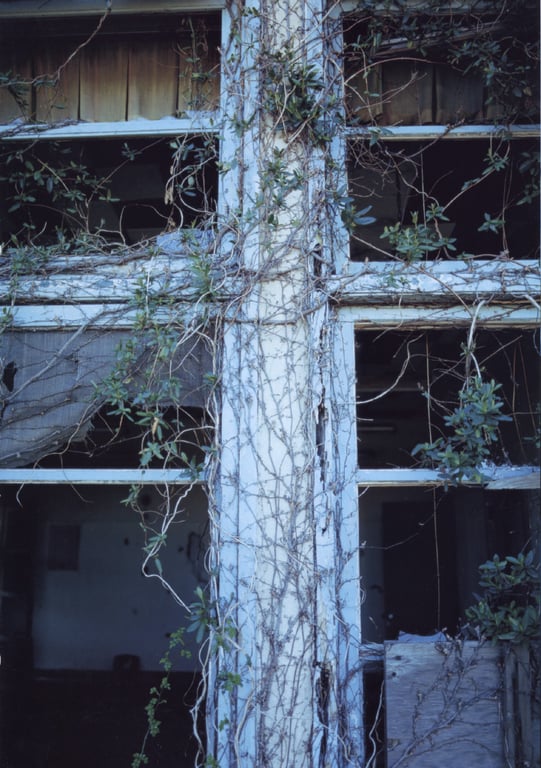 图片[139]-#釈由美子 – CHAOS - 全本免费在线观看-阅图吧