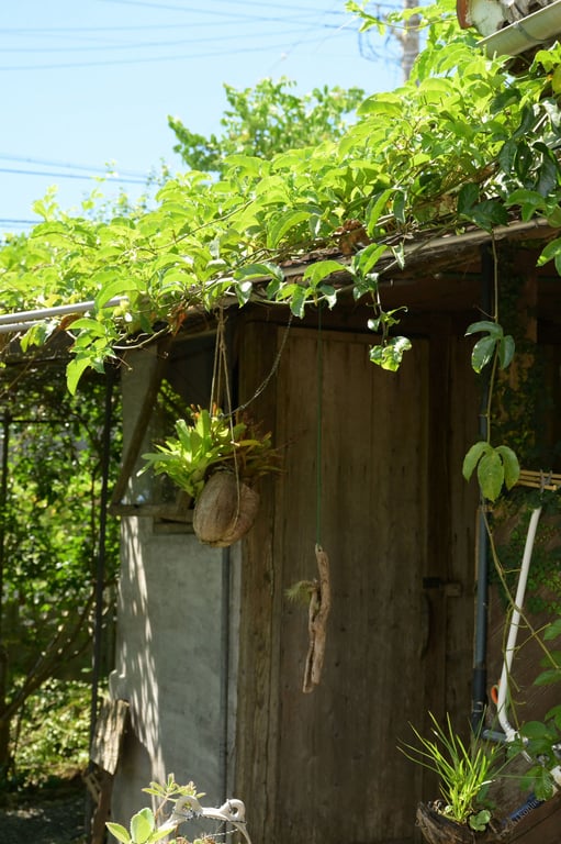 图片[73]-#Non Ohana 小花暖 – Together with Non-chan 和暖暖一起 vol.2 (2022-11-18) - 全本免费在线观看-阅图吧