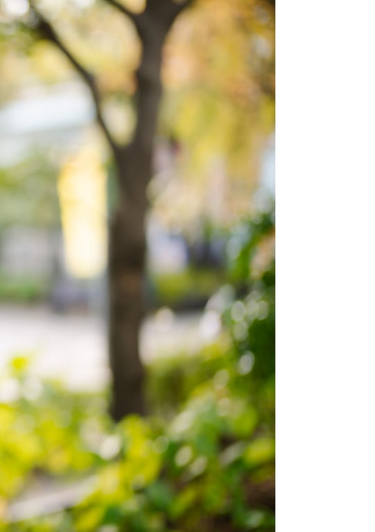 图片[37]-#NEWLOOK【girl meets street】枫可怜 - 在线免费观看-阅图吧