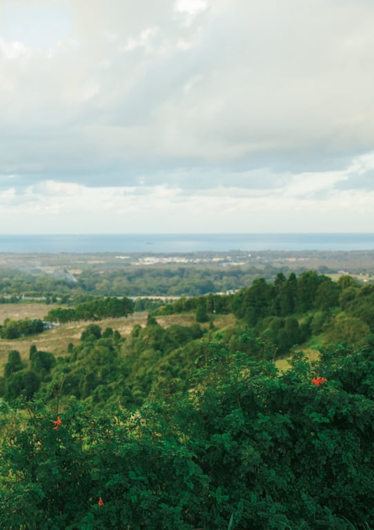 图片[146]-2024.09.12 田中美久写真集「随心所欲。」 (週プレ PHOTO BOOK) - 在线免费观看-阅图吧
