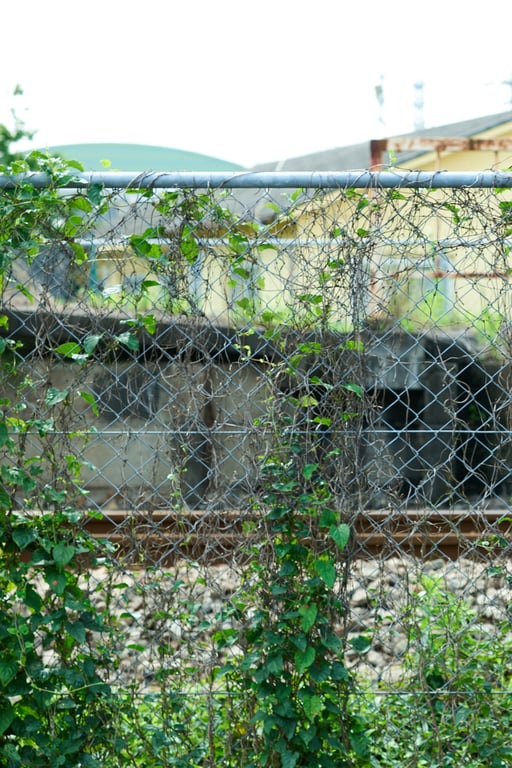 图片[69]-#Nanako Kurosaki 黑嵜菜菜子 – 18岁、原石、闪耀 (2021-11-19) - 全本免费在线观看-阅图吧