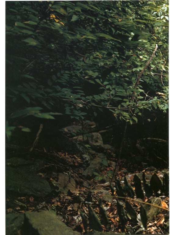 图片[42]-#(月刊シリーズ 055) – 月刊055 桃生亚希子 - 全本免费在线观看-阅图吧