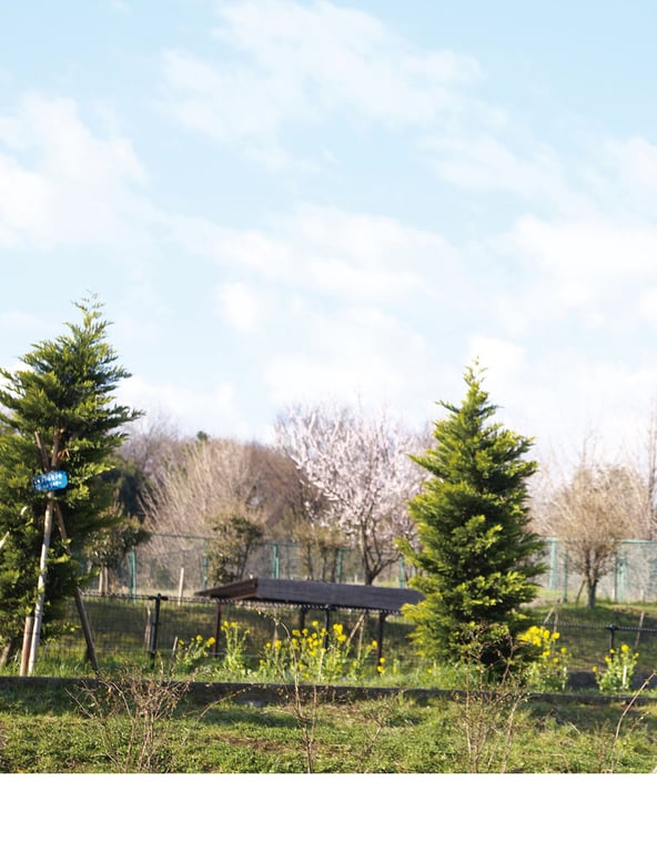 图片[65]-#青山裕企 Photobook 26sets\【青山裕企】公园少女 - 全本免费在线观看-阅图吧