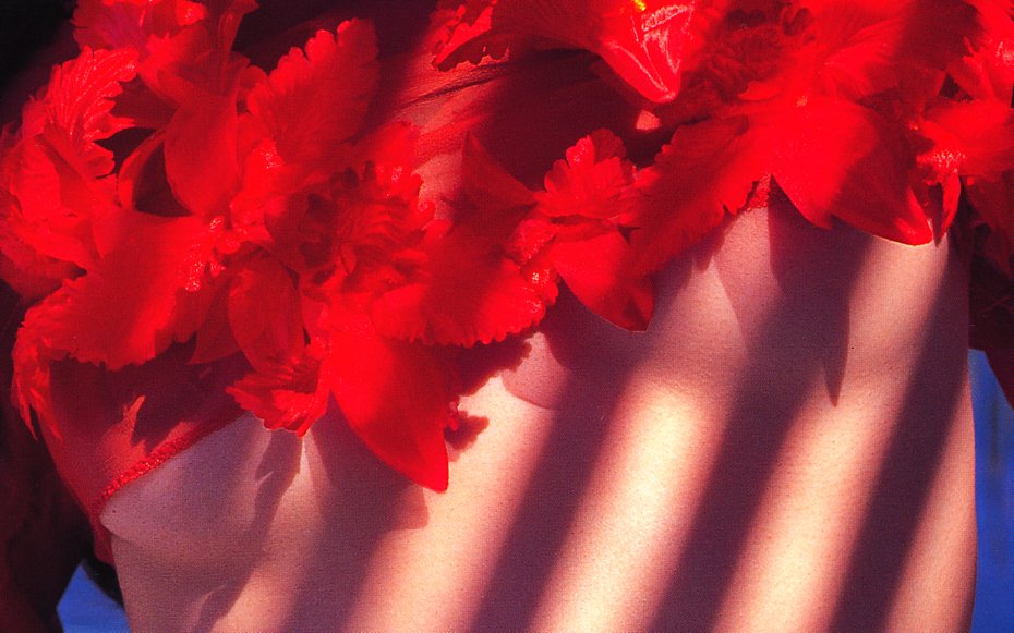 图片[70]-#Risa Honda 本田理沙 – (R) - 全本免费在线观看-阅图吧