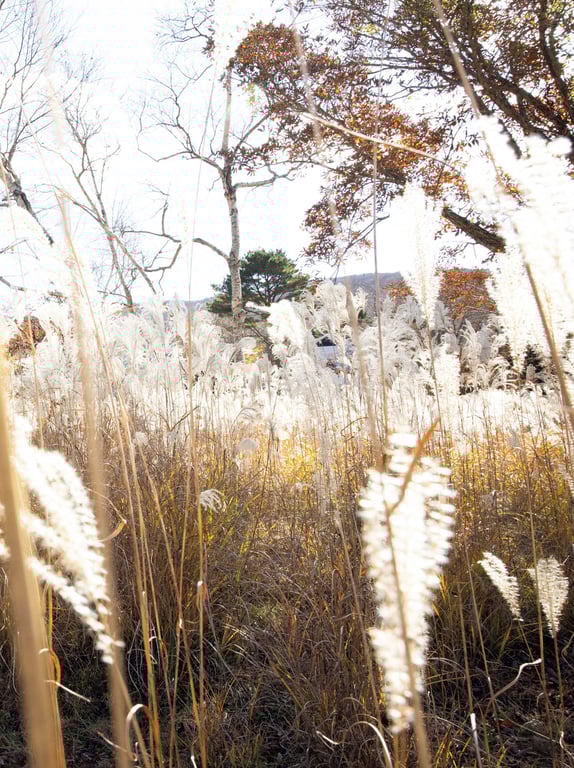 图片[116]-街山美穗【Scarlet】 - 在线免费观看-阅图吧