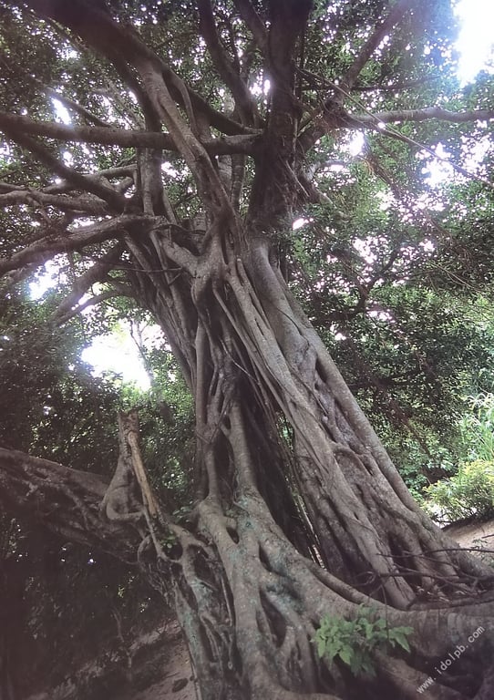 图片[111]-2002.10 矢吹春奈 写真集 春夏 - 在线免费观看-阅图吧