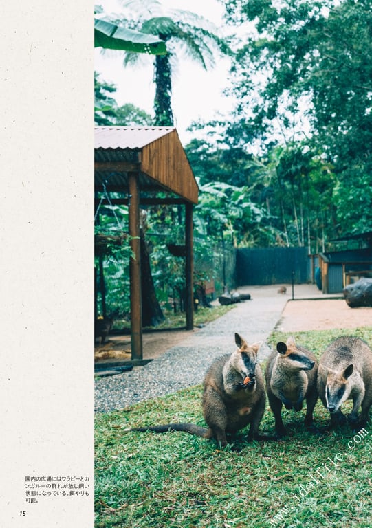 图片[48]-#馬場ふみか 马场巡游 - 全本免费在线观看-阅图吧