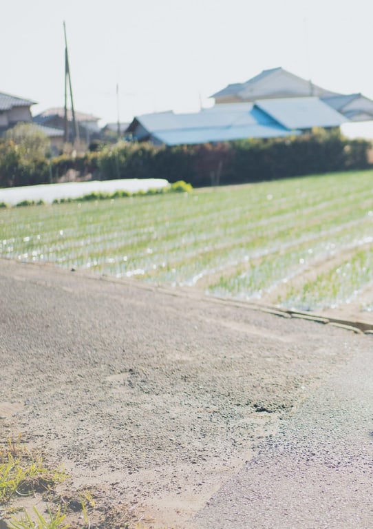 图片[9]-[B.L.T. Photobook] Nanako Kurosaki 黑嵜菜菜子 - Kisetsu that you think 思念你的季节。 (2022-03-18) - 在线免费观看-阅图吧