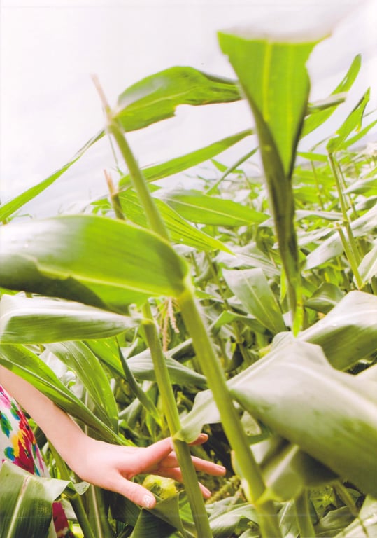 图片[4]-#2010.04.26 Sayumi Michishige 道重沙由美 – La - 全本免费在线观看-阅图吧