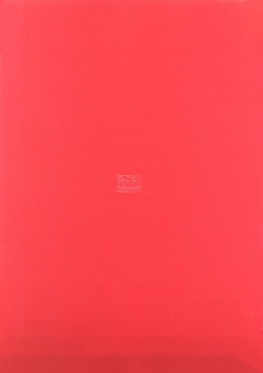 图片[2]-#(月刊シリーズ 057) – 月刊057 佐藤珠绪Special - 全本免费在线观看-阅图吧