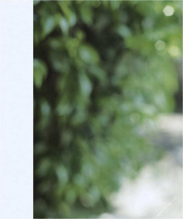 图片[80]-#青山裕企 Photobook 26sets\【青山裕企】对你，一见钟情 - 全本免费在线观看-阅图吧