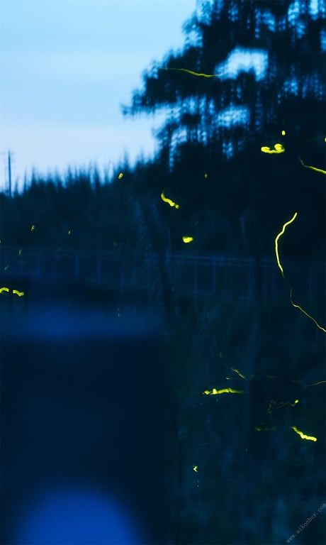 图片[18]-#【数字限定】工藤美樱写真集「夏之扉」 週プレ PHOTO BOOK - 全本免费在线观看-阅图吧