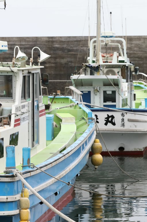图片[45]-#FRIDAYデジタル写真集 现役庆应大学生美女 街山美穗「潮骚」 - 全本免费在线观看-阅图吧
