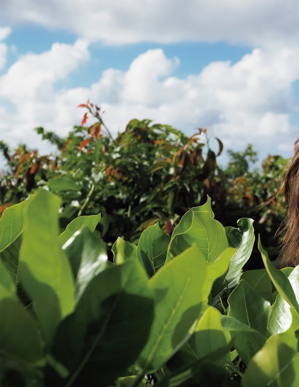 图片[48]-2019.09.20 Masquerade -假面舞会- 葵司 アサ芸SEXY女演员写真集 - 在线免费观看-阅图吧