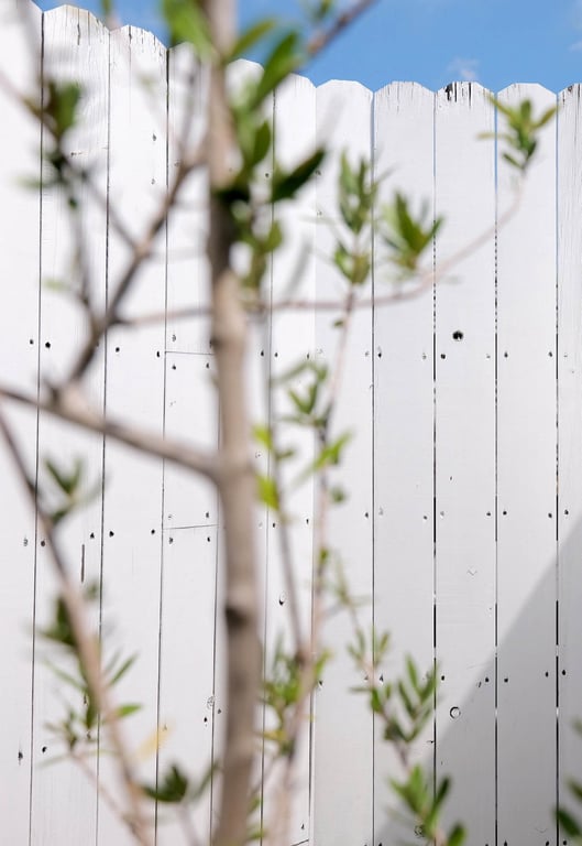 图片[3]-#山岸伸×SOD数字裸体写真集 神木丽『I\’ll show you』 - 全本免费在线观看-阅图吧