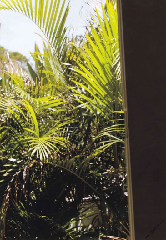 图片[89]-#都丸纱也华3rd写真集 MeeTomaru Low Qulity - 全本免费在线观看-阅图吧