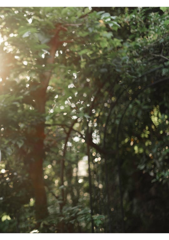 图片[160]-#石川澪 デジタル写真集 とられち(No Watermark) - 全本免费在线观看-阅图吧