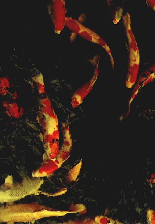 图片[120]-#(月刊シリーズ 057) – 月刊057 佐藤珠绪Special - 全本免费在线观看-阅图吧