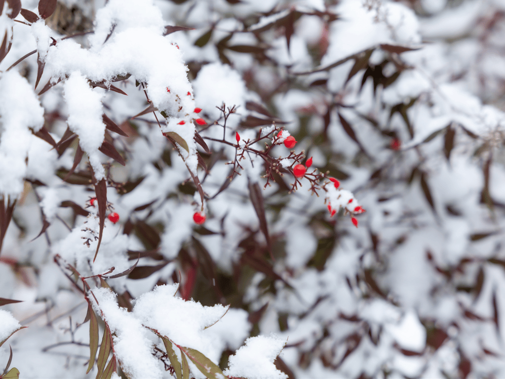 图片[36]-#木下ひまり ヘアヌード写真集 陽毬 -HIMARI- - 全本免费在线观看-阅图吧