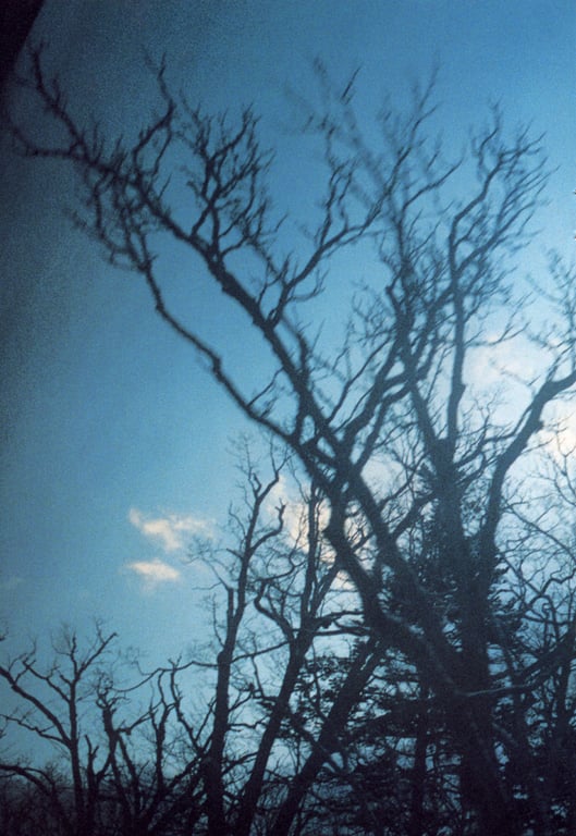 图片[24]-#(月刊シリーズ 076) – 月刊076 奥贯薰 - 全本免费在线观看-阅图吧