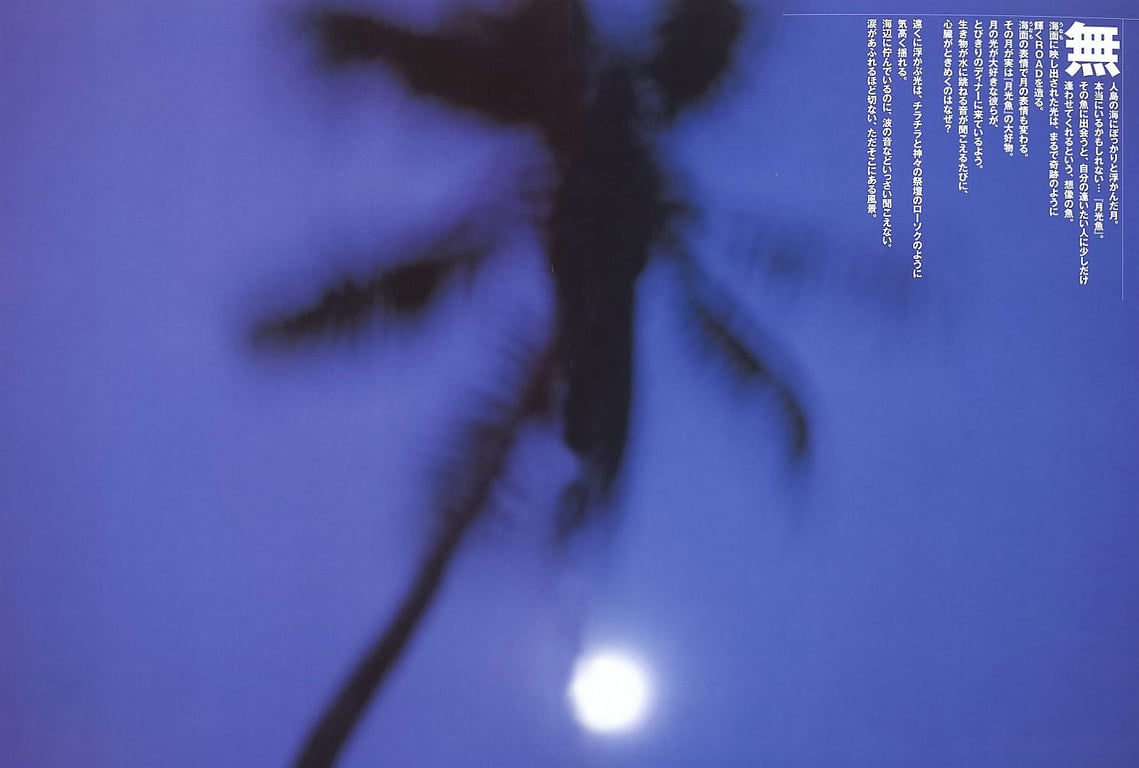 图片[76]-#佐藤宽子 – Peek a Boo! (ringo_scan) - 全本免费在线观看-阅图吧