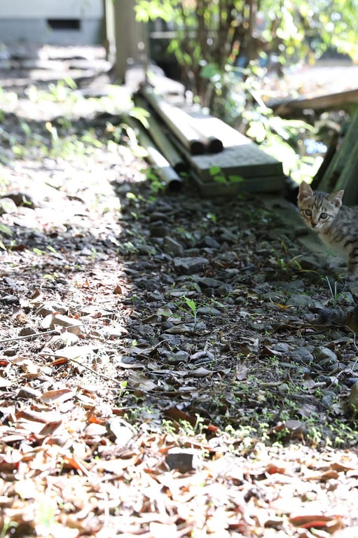 图片[56]-#Kazuko Iwamoto 岩本和子 – Bad travel 禁忌的旅情 (2018-08-06) - 全本免费在线观看-阅图吧