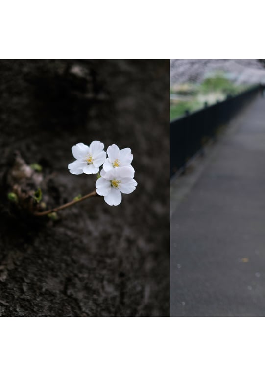 图片[125]-#小仓七海 数字写真集 とられち(No Watermark) - 全本免费在线观看-阅图吧