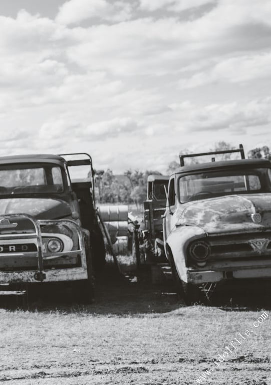 图片[41]-#馬場ふみか 马场巡游 - 全本免费在线观看-阅图吧