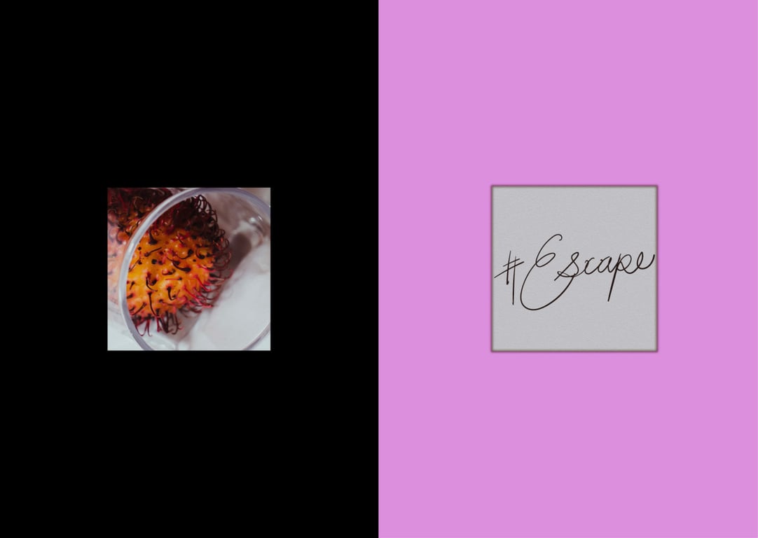 图片[2]-#Escape 梓光 - 在线免费观看-阅图吧