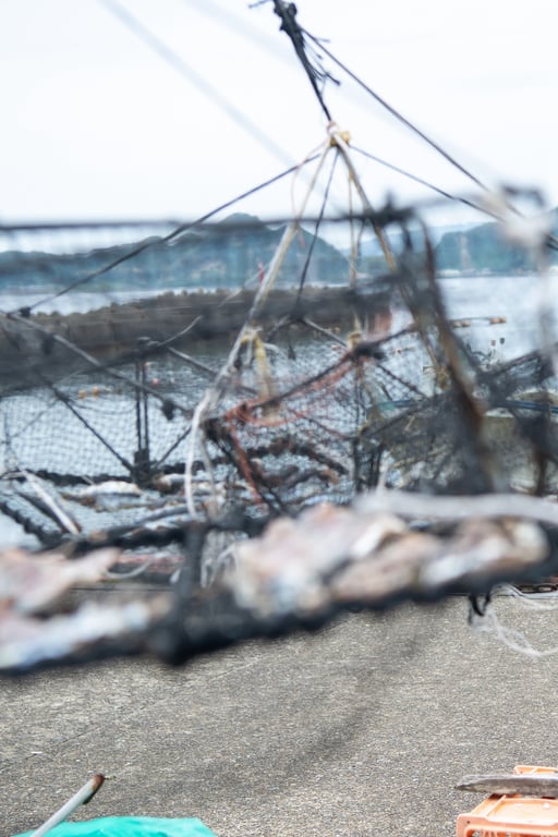 图片[3]-#Mao Hamasaki 浜崎真绪 – MAO 真绪 (2021-09-03) - 全本免费在线观看-阅图吧