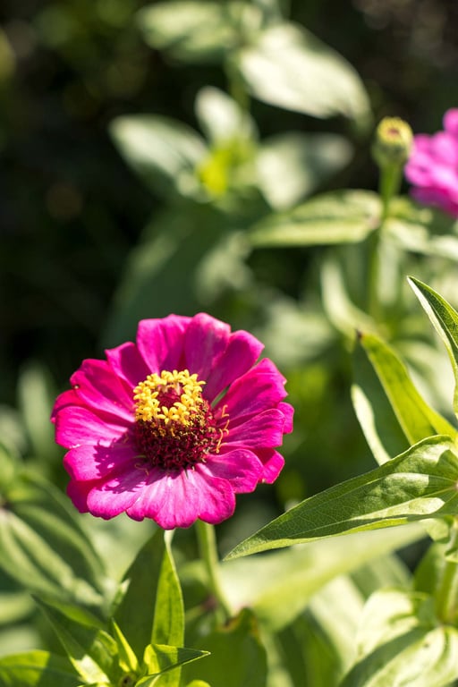 图片[2]-#青春#アオハル 白桃はな【ヌード写真集】 - 全本免费在线观看-阅图吧