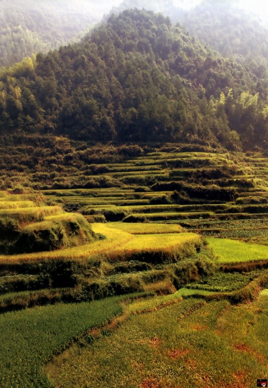 图片[15]-#Yua Aida 相田梦爱 – YUA - 全本免费在线观看-阅图吧