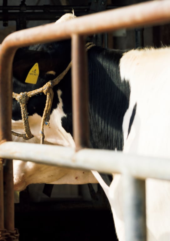 图片[3]-#Aika Sawaguchi 沢口爱华 – Stretching 背伸び (2020-10-28) - 全本免费在线观看-阅图吧