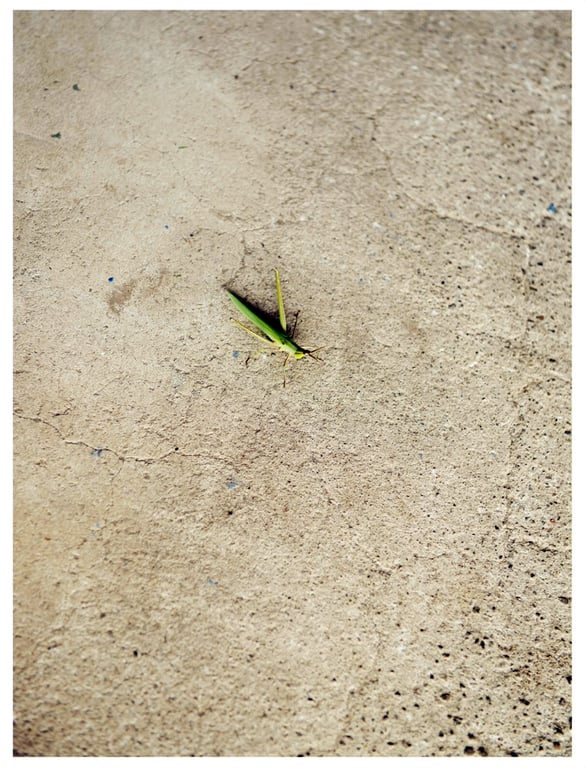 图片[54]-初森ベマーズ 电子写真集 Vol.02 - 在线免费观看-阅图吧