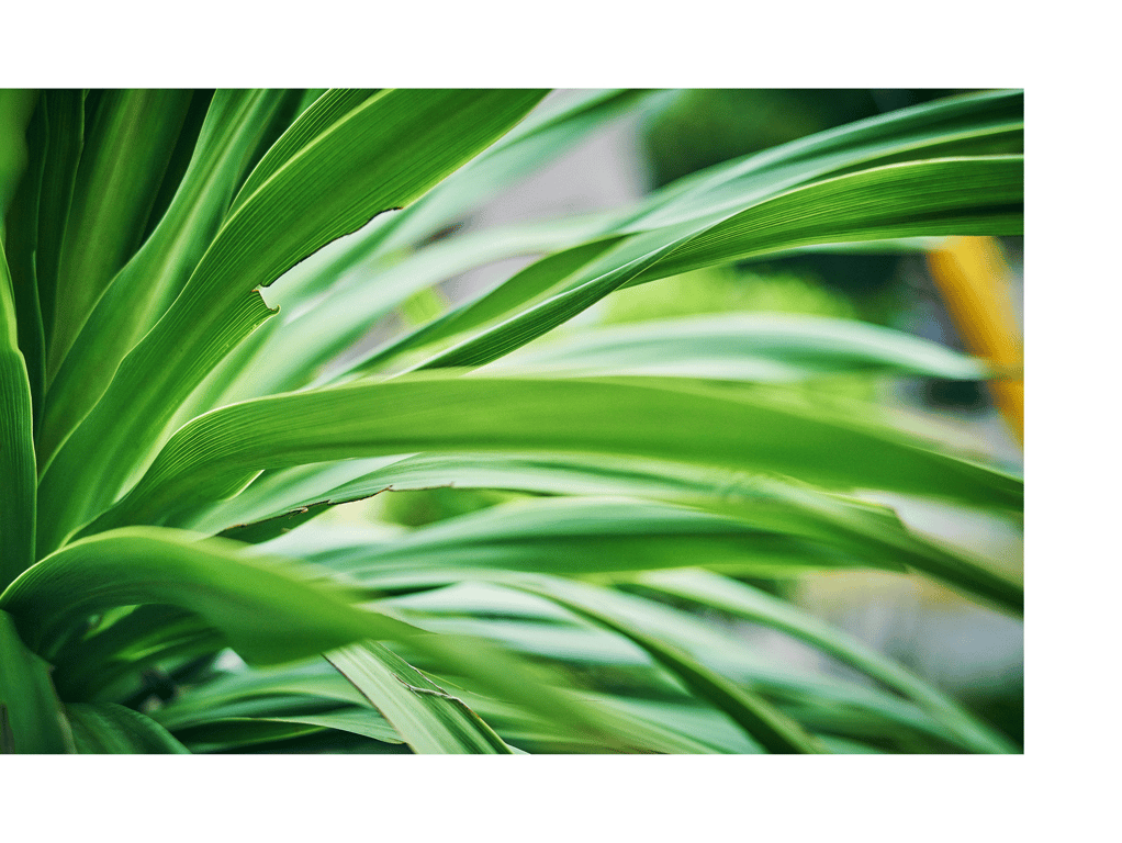 图片[44]-古河由衣 写真集 魅惑...pre[112P] - 在线免费观看-阅图吧