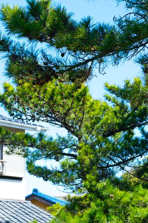 图片[14]-うみに溺れて 及川海【グラビア写真集】 - 在线免费观看-阅图吧